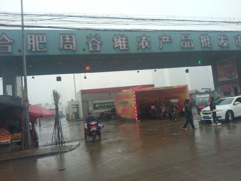 商贸行业中的合肥:城市商业活力的展示窗口
